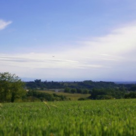 P5230072jpg