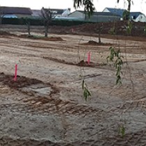 Chantier_ecole_reduite_7