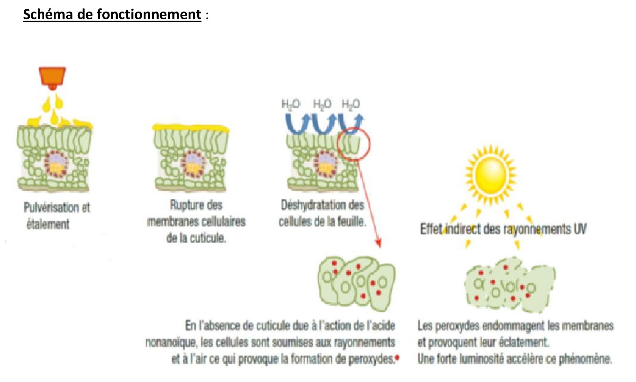 Schema de fonctionnement