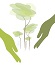 logo zerophyto