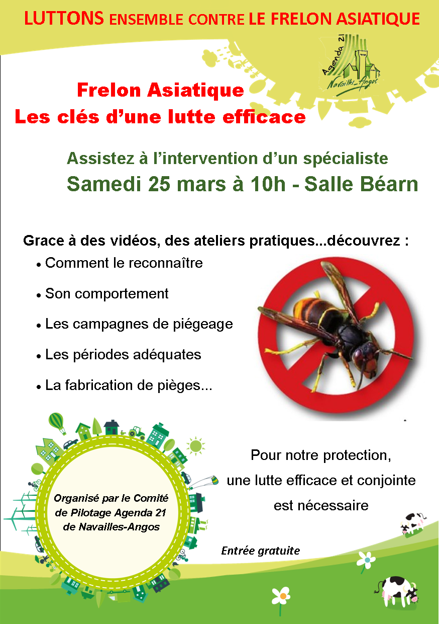 Flyeur Frelon Asiatique V hugues1
