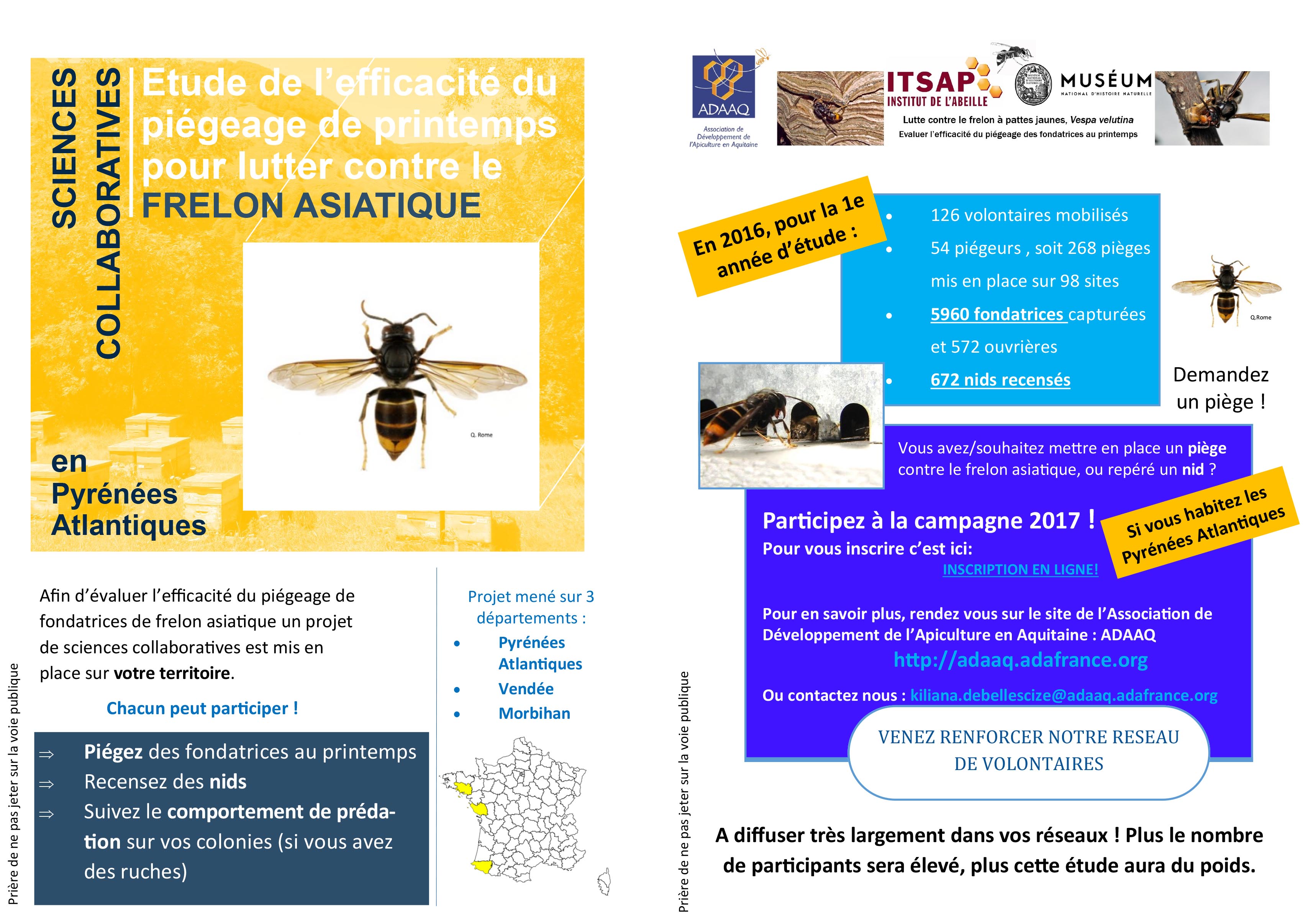 plaquette web Frelon