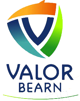 LOGO VALOR BEARN
