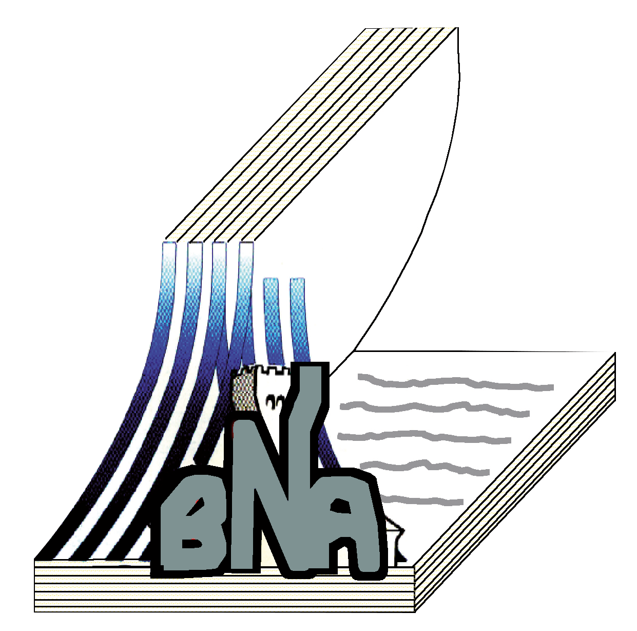logo bibliotheque bna gris vert