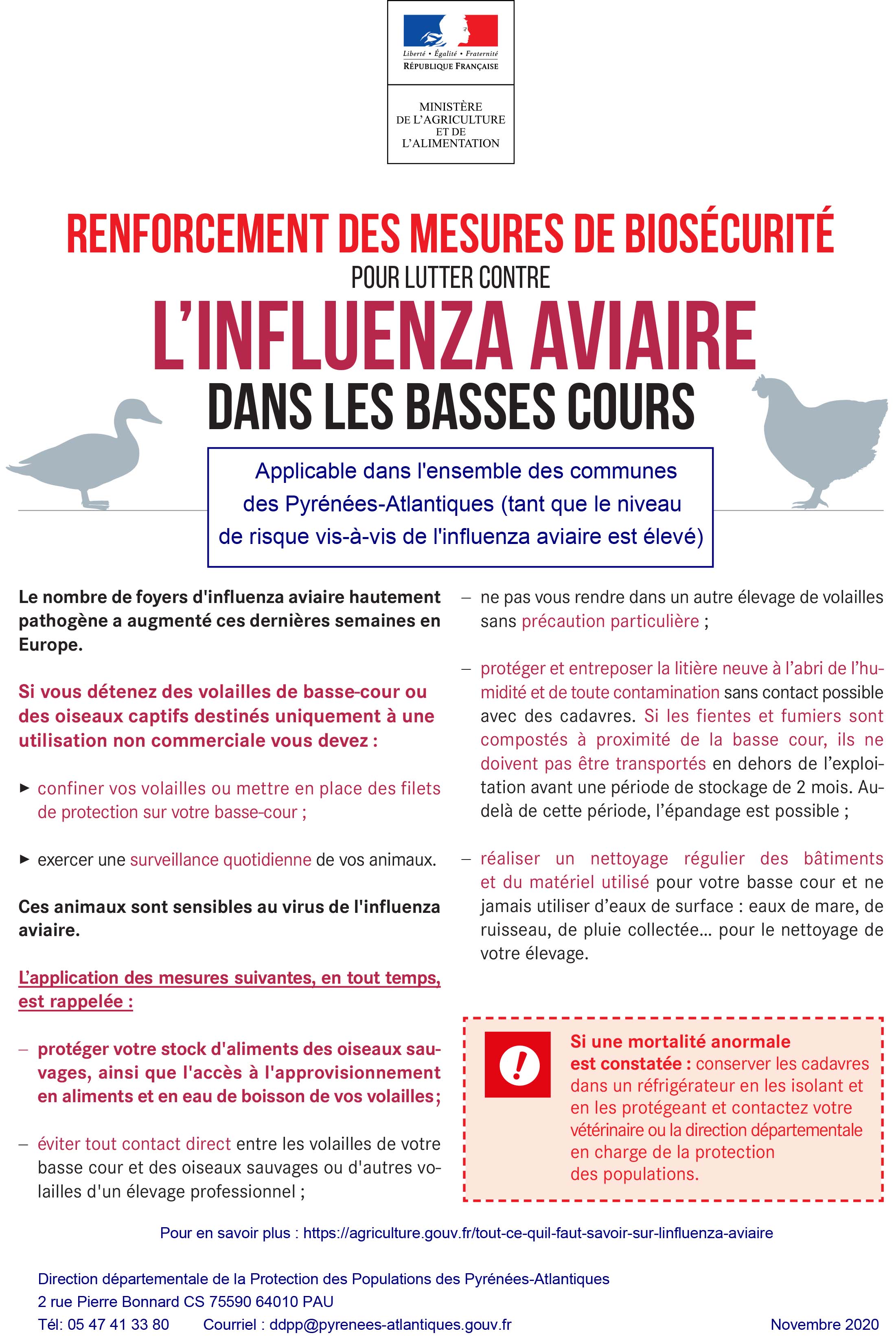 affiche grippe aviaire 2021