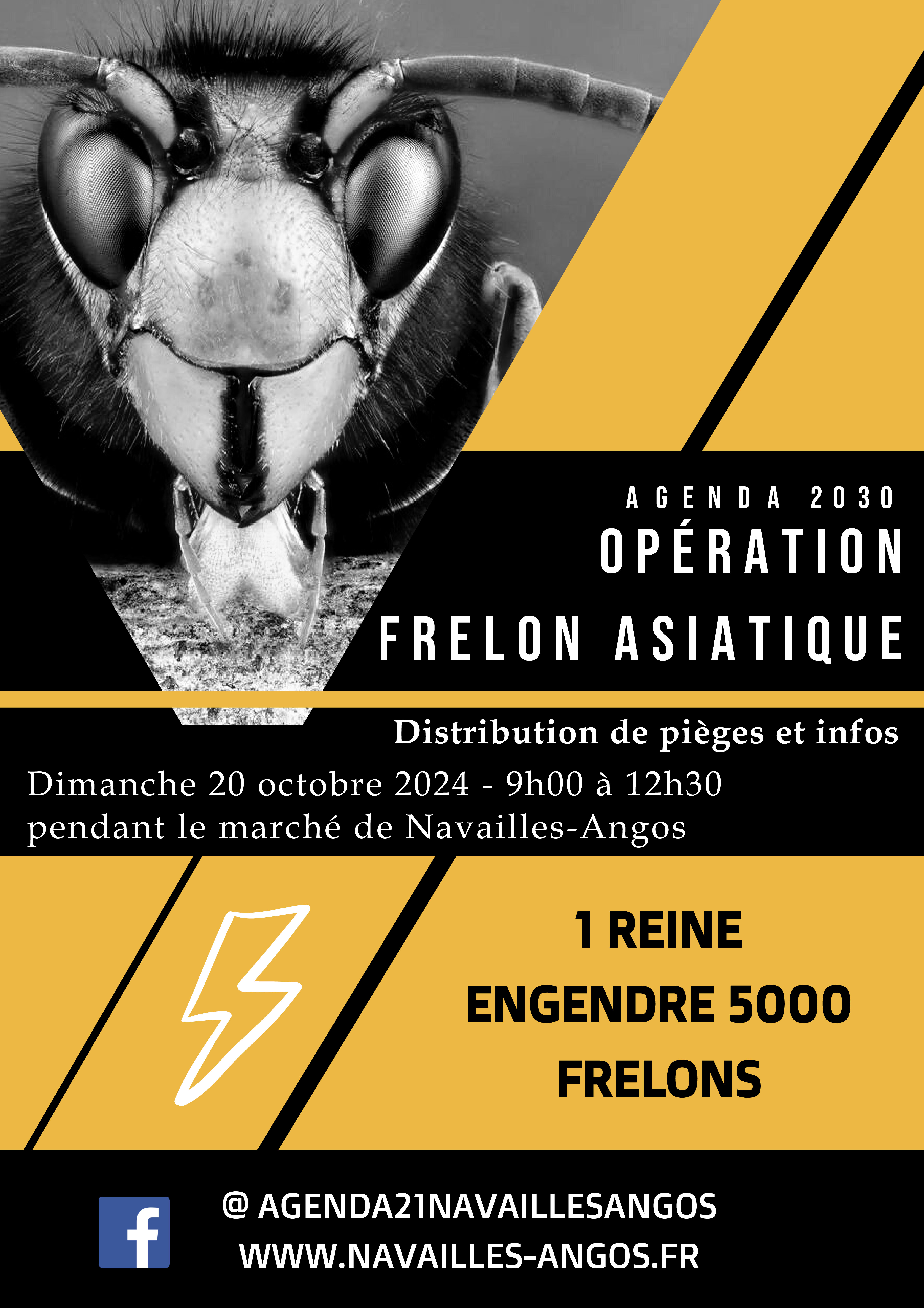 AtelierPiges FrelonAsiatique 12Fev22
