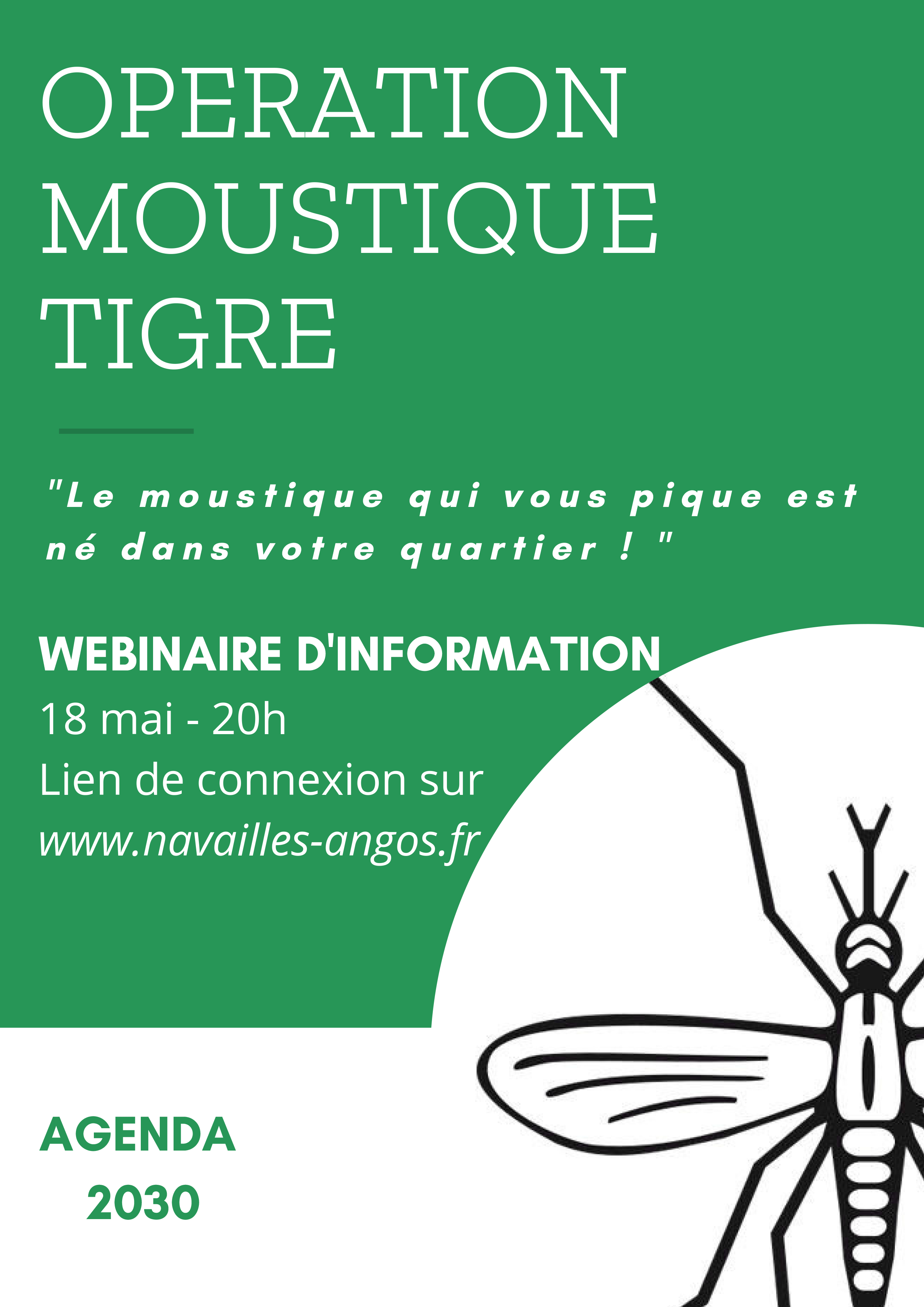 affiche webinanire moustique tigre