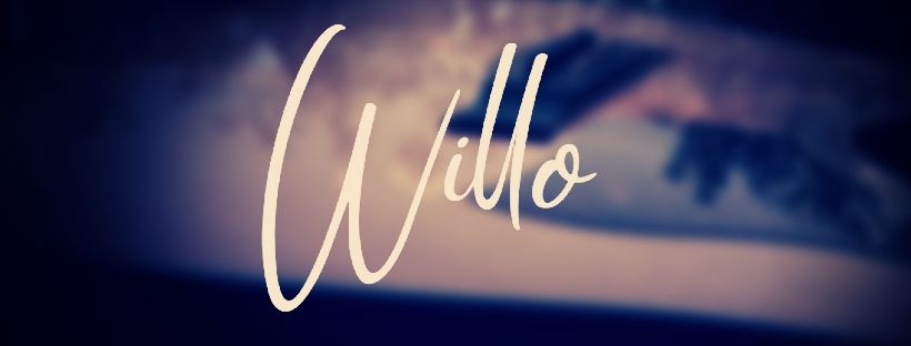 image willo 1