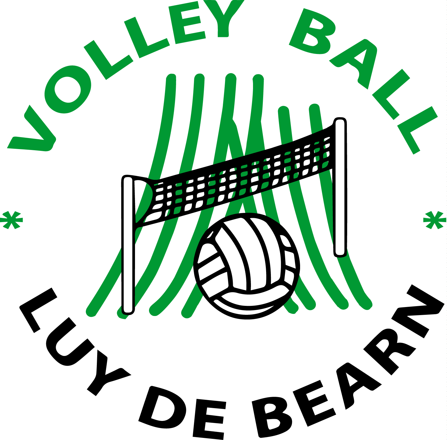 logoVolley