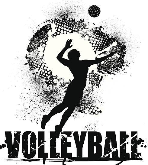 image volley