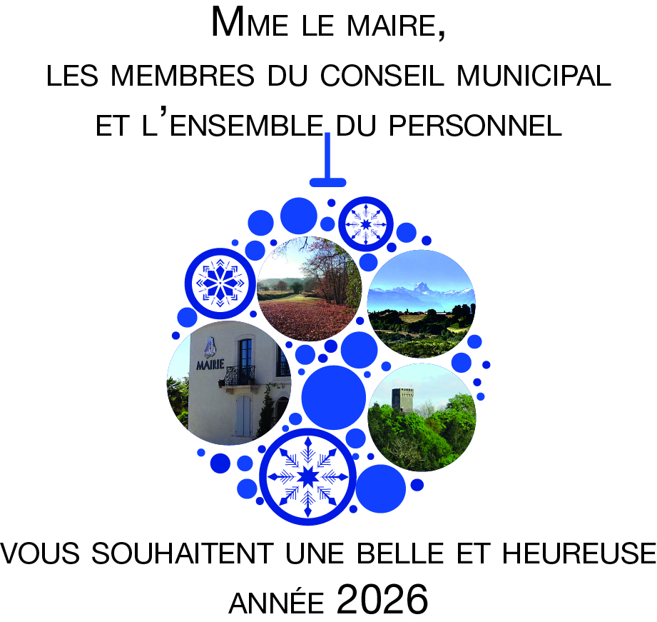 picto voeux 2026 2 01